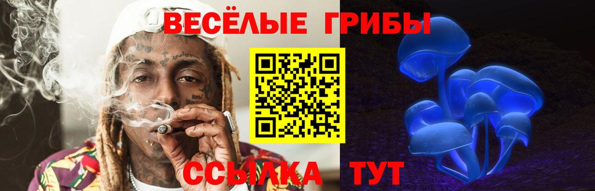 Псилоцибиновые грибы Magic Shrooms Белово